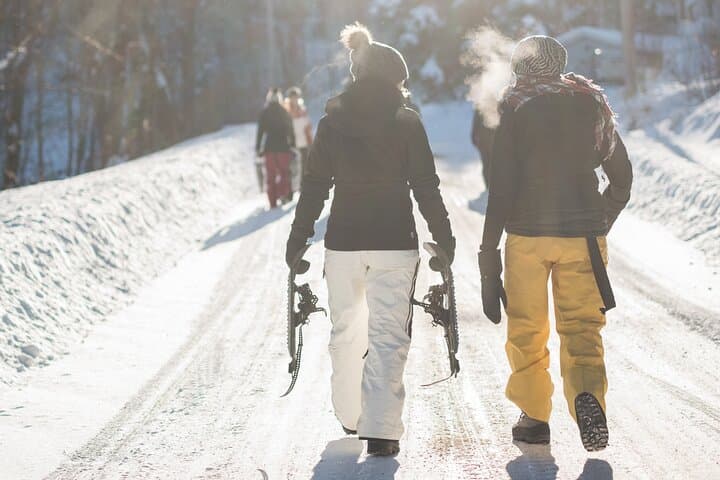 Yellowstone Winter Wildlife Full-Day Private Tour with Snowshoeing photo 2