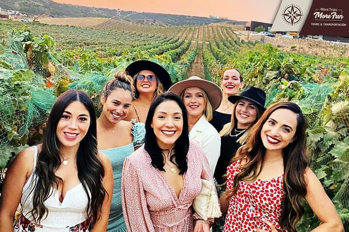 Valle de Guadalupe Wine and Brewery Tours — Private Full-Day Tasting from Tijuana photo 5