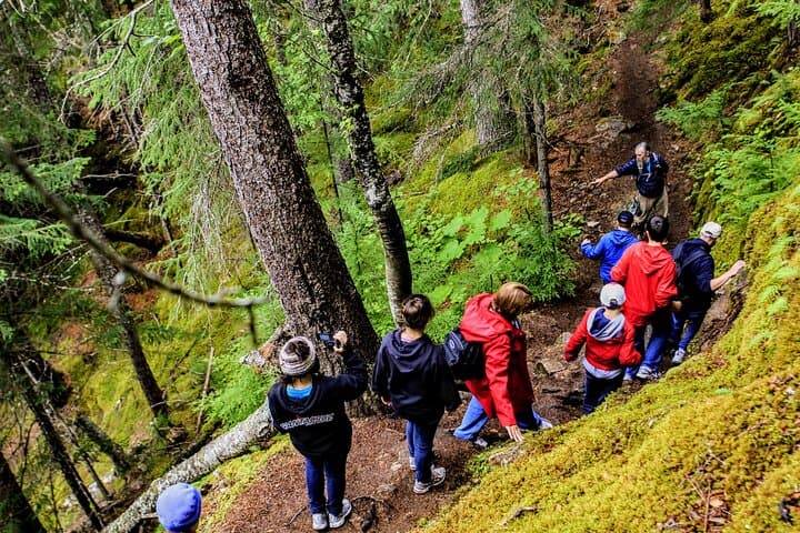 Chilkoot Trail Hike and Dyea River Float — Skagway Shore Excursion Guide photo 4