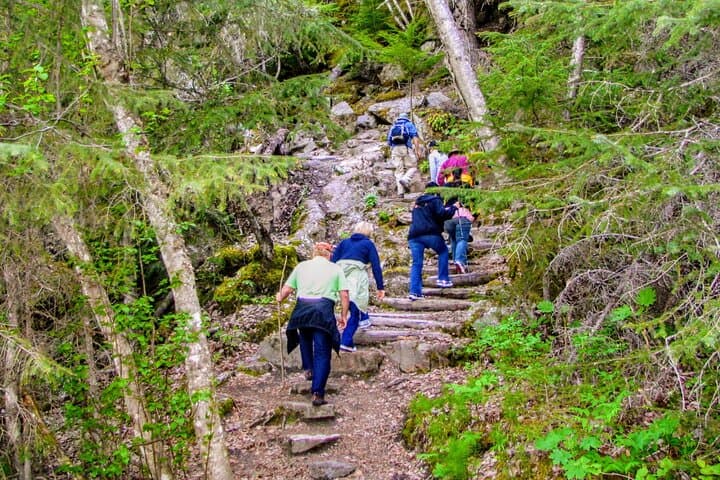 Chilkoot Trail Hike and Dyea River Float — Skagway Shore Excursion Guide photo 3