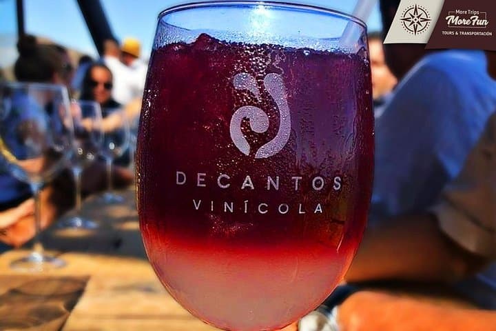 Valle de Guadalupe Wine and Brewery Tours — Private Full-Day Tasting from Tijuana photo 6