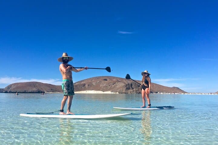 Espiritu Santo Island: Sea Lions, Snorkeling & Paddleboard Day Trip from La Paz photo 2
