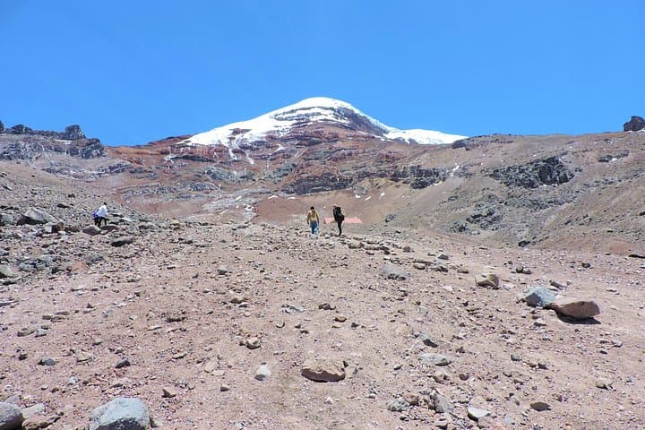 Chimborazo Day Trip from Baños & Riobamba — High-Andes Wildlife, Views & Altitude Prep photo 5