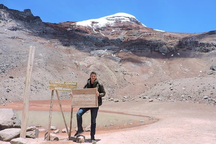Chimborazo Day Trip from Baños & Riobamba — High-Andes Wildlife, Views & Altitude Prep photo 4