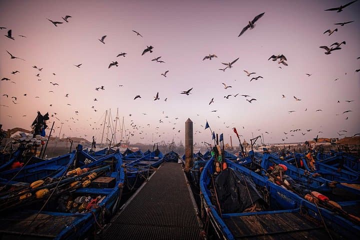 Essaouira Day Trip from Marrakech: Atlantic Coast, Medina & Argan Oil Tour photo 4