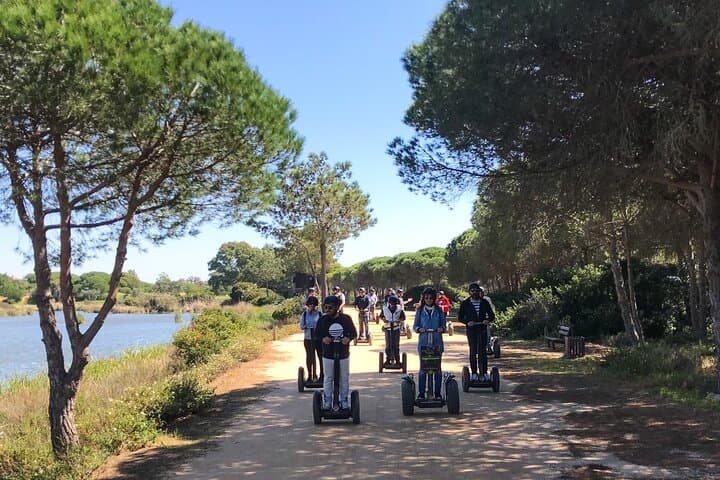 Segway Birdwatching in Ria Formosa: Faro Lagoon Wildlife Tour photo 3