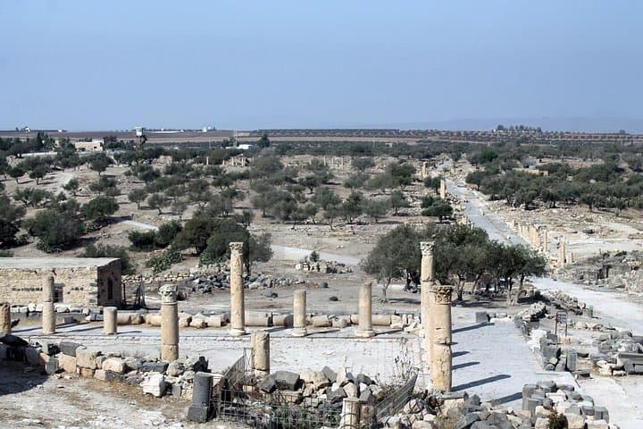 Day Trip from Amman to Umm Qais, Jerash & Ajloun — Roman Streets and Hilltop Views photo 3