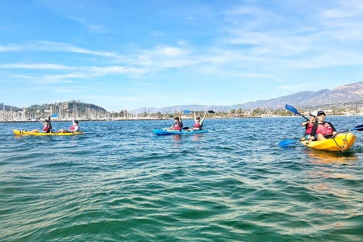 Santa Barbara Harbor Wildlife Kayak Tour: 2‑Hour Guided Paddle photo 6