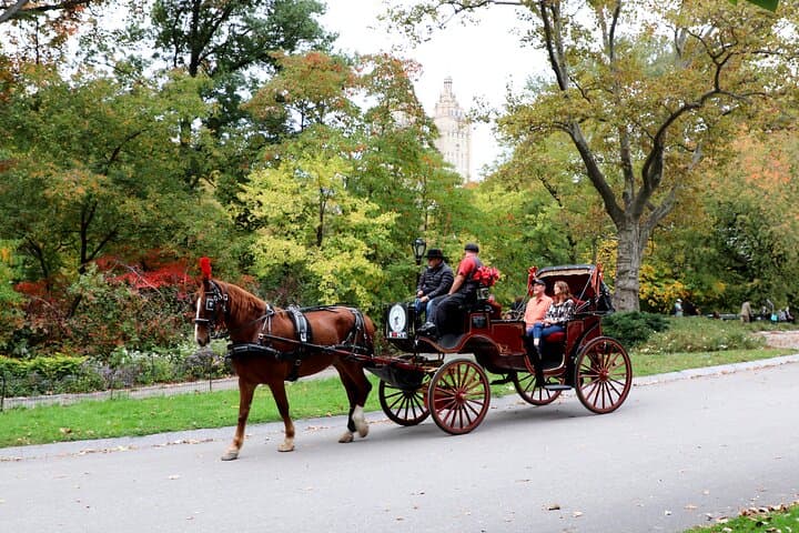 Central Park Horse-Drawn Carriage Ride — 45-Min VIP Tour with Cherry Hill Photo Stop photo 2