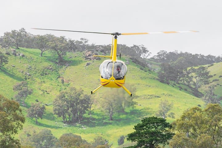 Barossa Valley Deluxe Helicopter Flight: Scenic Aerial Wine Country Tour photo 4