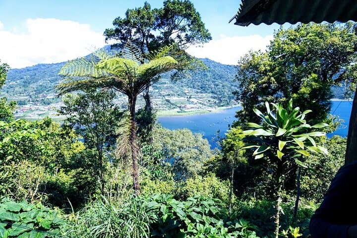 Sekumpul Waterfall, Wanagiri & Ulun Danu: Full-Day Private Bali Nature Tour photo 4