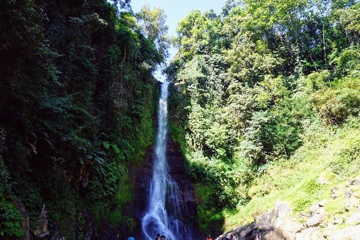 Full-Day Gitgit Waterfall & Ulun Danu Beratan Temple Tour — Bedugul Bali photo 4