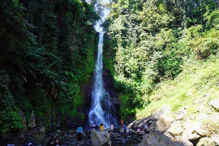 Full-Day Gitgit Waterfall & Ulun Danu Beratan Temple Tour — Bedugul Bali