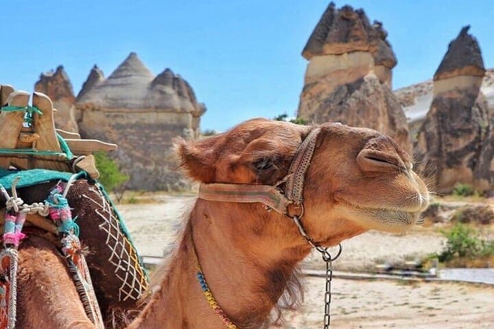 Istanbul to Cappadocia: 5-Day Turkey Highlights with Pamukkale & Ephesus photo 3