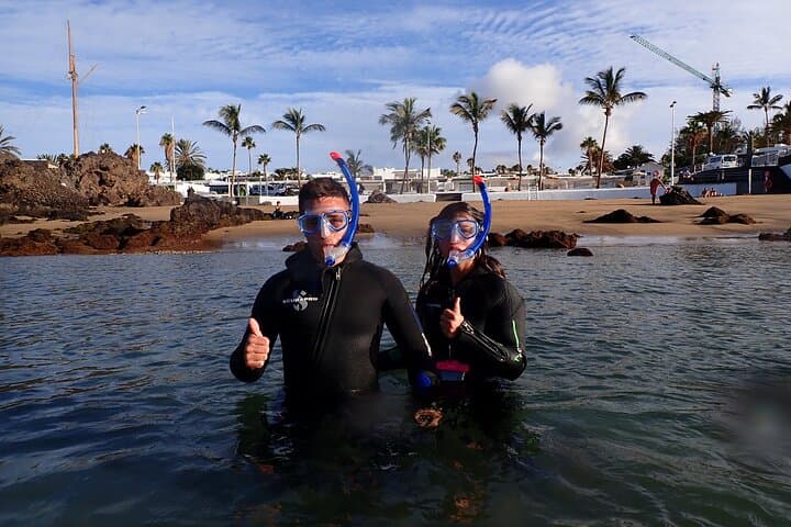 Snorkel Lanzarote: Guided Playa Chica Reef Experience in Puerto del Carmen photo 3