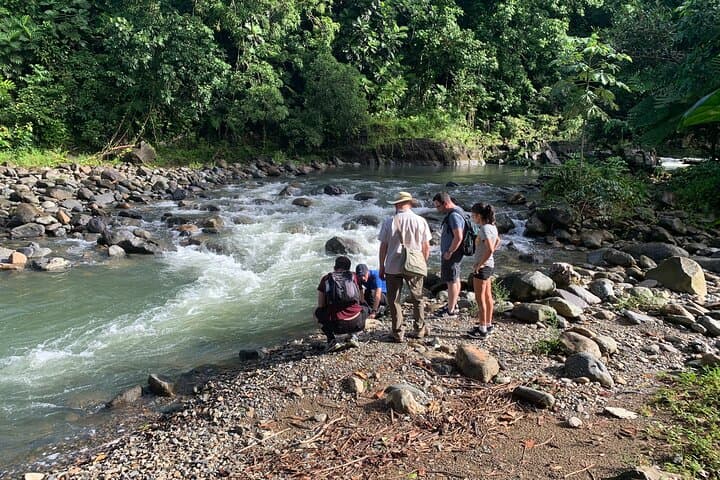 Rainforest River Nature Walk and Luquillo Beach — El Yunque Half-Day Adventure photo 4