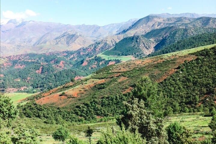 Ourika Valley Day Trip from Marrakech — Waterfalls, Berber Villages & Argan Cooperatives photo 4