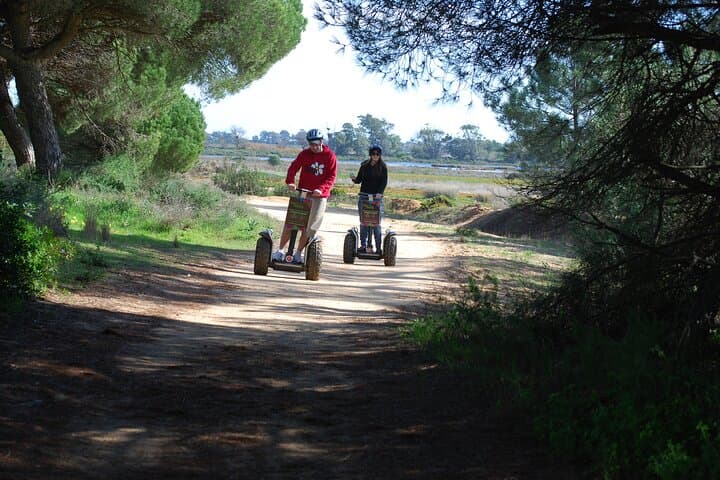 Segway Birdwatching in Ria Formosa: Faro Lagoon Wildlife Tour photo 1