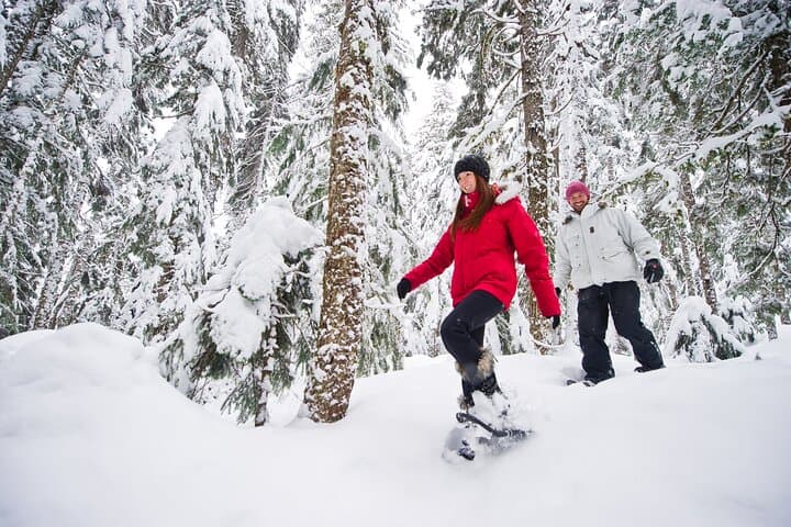 Medicine Trail Snowshoe Tour — Guided Snowshoeing & Medicinal Tea in Callaghan Valley