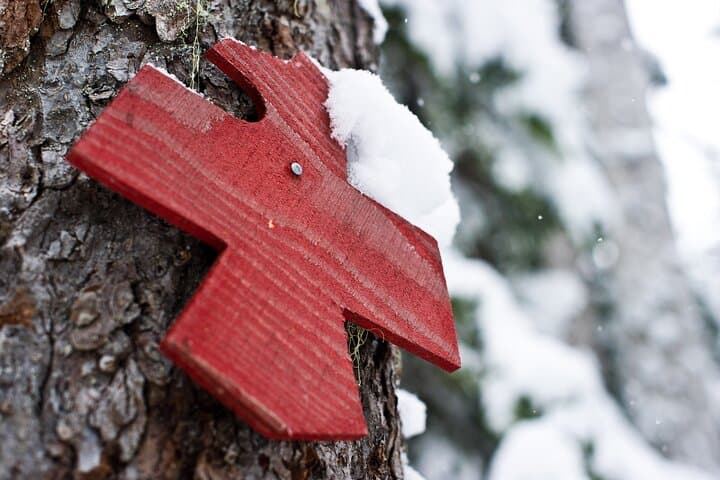 Medicine Trail Snowshoe Tour — Guided Snowshoeing & Medicinal Tea in Callaghan Valley photo 5