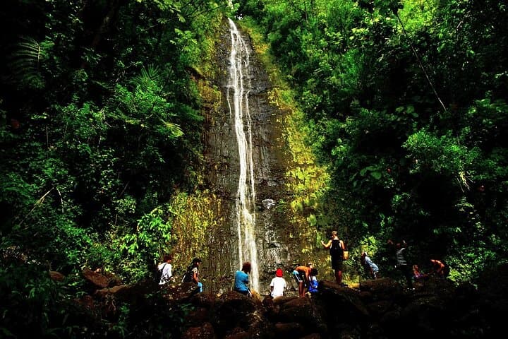 Honolulu Rainforest Audio Drive: Manoa Falls, Tantalus Lookout & Chinatown photo 6