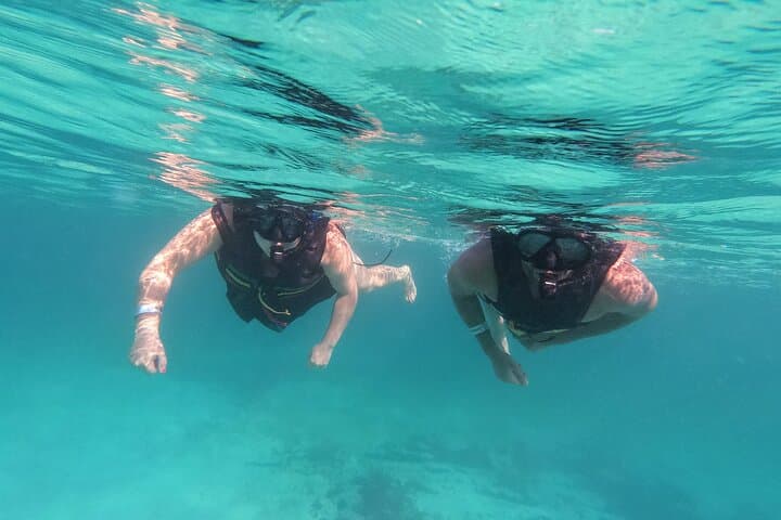 Private Tulum Tour: Snorkel the Mesoamerican Reef, Explore a Jungle Cenote & Visit Tulum Ruins photo 3