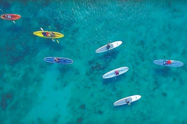 Magic Mangrove Paddle: Kayak & SUP Wildlife Safari in Beef Island Lagoon photo 3