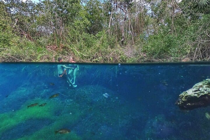 Private Tour to the Best Cenotes in Tulum — Swim & Snorkel 3 Cenotes in One Day photo 6