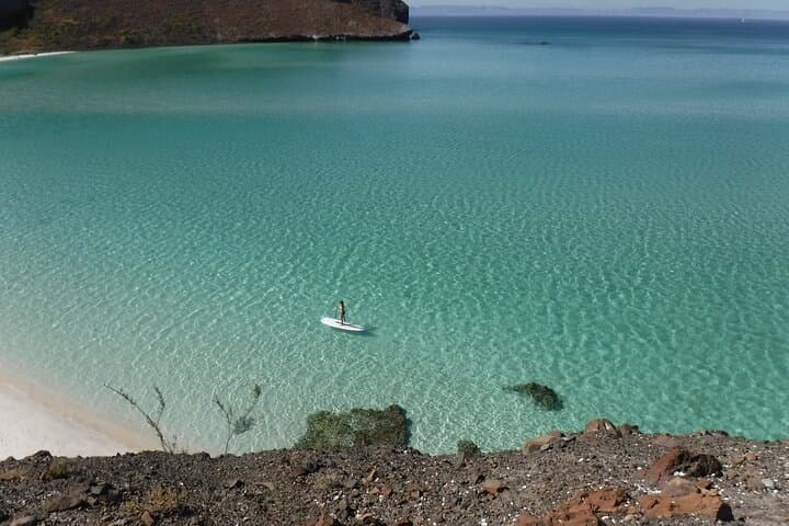 Espiritu Santo Island Sea Lions & Paddleboard Day Trip from La Paz photo 6