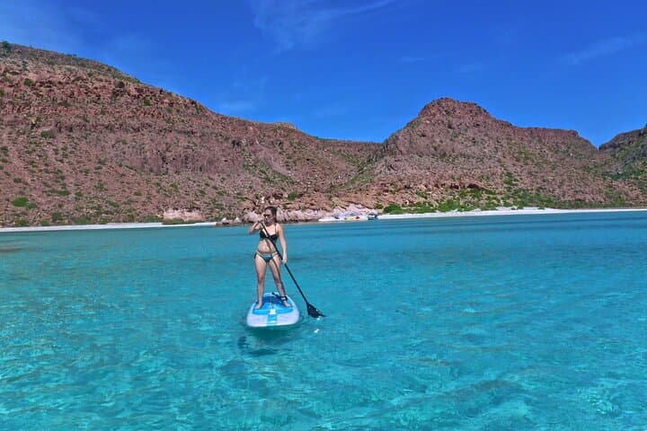 Espiritu Santo Island Sea Lions & Paddleboard Day Trip from La Paz