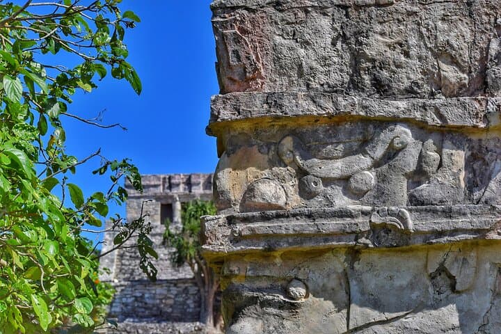 Private Half-Day Tulum Ruins Tour from Playa del Carmen — Early Access & Expert Guide photo 6