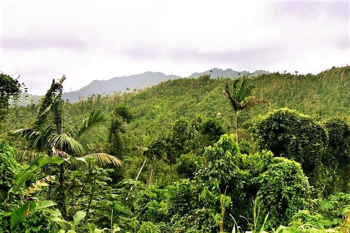 Sail & Hike Grenada: Black Bay Waterfall Adventure from Grand Anse photo 6