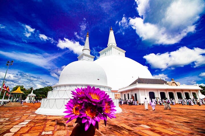 Best of Sri Lanka in Two Weeks: A 14-Day Cultural & Wildlife Road Trip