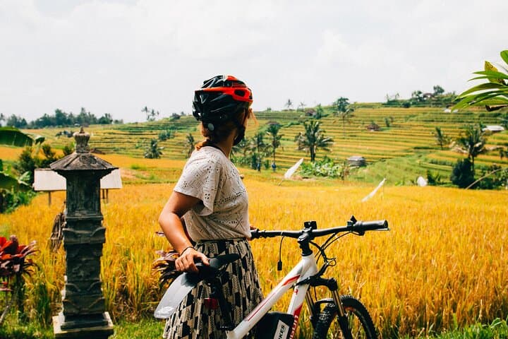 Downhill Cycling from Kintamani to Ubud: Rice Fields & Village Half-Day Tour photo 2