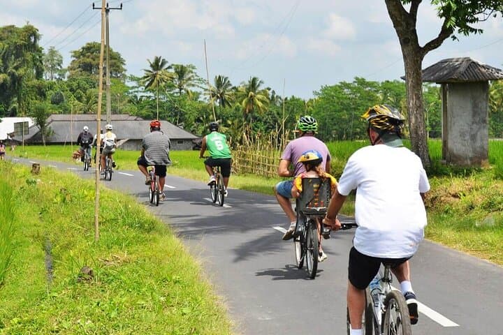Downhill Cycling from Kintamani to Ubud: Rice Fields & Village Half-Day Tour photo 3