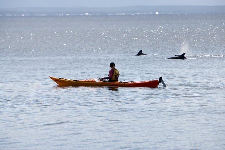 Half-Day Jervis Bay Sea Kayak Tour: Paddle Murrays Beach & Bowen Island photo 2