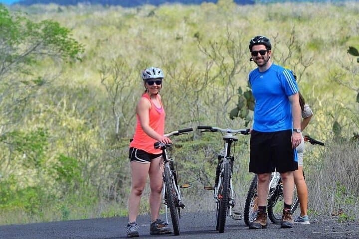 Santa Cruz Highlands Bike Tour: Giant Tortoises, Los Gemelos & Lava Tube Adventure photo 4