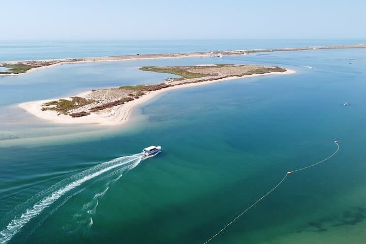 Ria Formosa 2-Hour Boat Tour to Armona Island