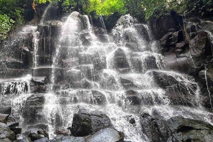Ubud Waterfall, Tirta Empul & Tegalalang Rice Terrace: Private Full-Day Tour photo 3