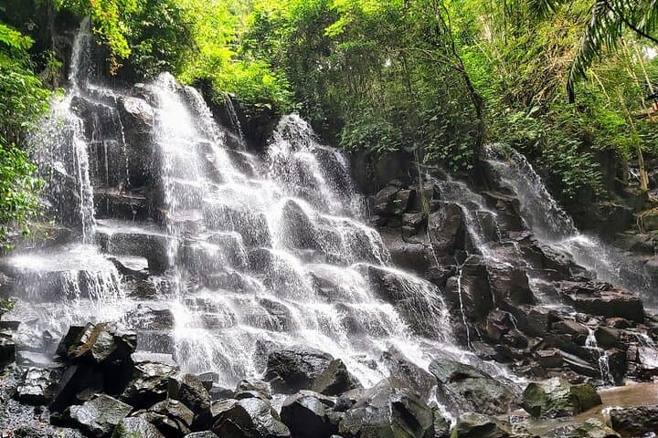 Ubud Waterfall, Tirta Empul & Tegalalang Rice Terrace: Private Full-Day Tour photo 4