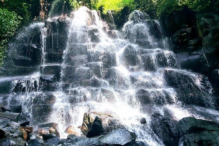 Ubud Waterfall, Tirta Empul & Tegalalang Rice Terrace: Private Full-Day Tour photo 5