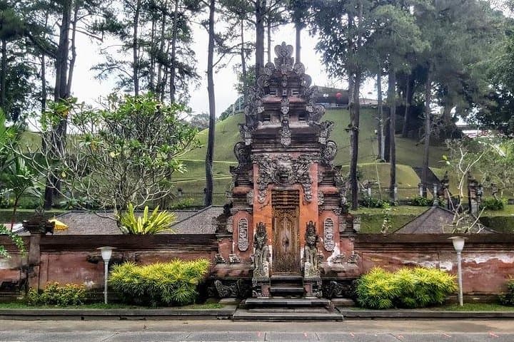 tirta-empul-and-gunung-kawi-private-ubud-rice-terrace-tour photo 2