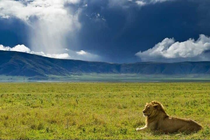 3-Day Sharing Safari: Tarangire, Ngorongoro & Lake Manyara