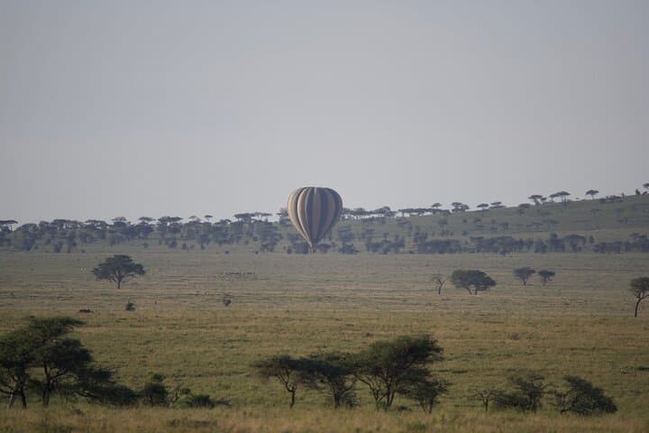 3-Day Sharing Safari: Tarangire, Ngorongoro & Lake Manyara photo 5