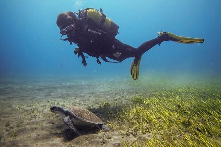 SSI Open Water Diver Course in South Tenerife — 3-Day Certification by the Atlantic