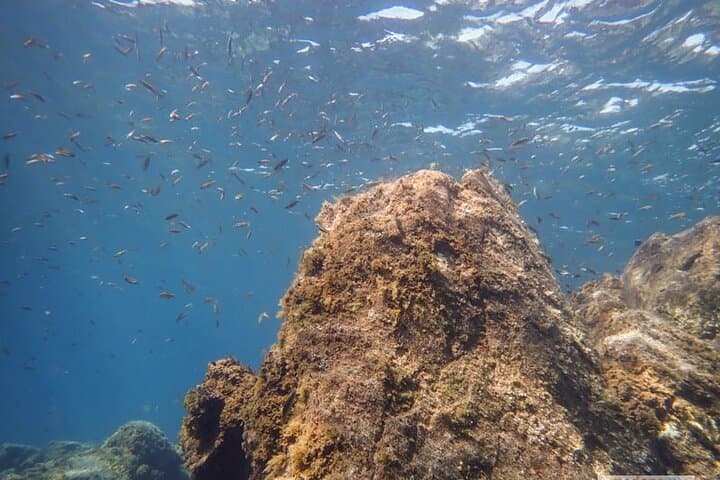 SSI Open Water Diver Course in South Tenerife — 3-Day Certification by the Atlantic photo 5