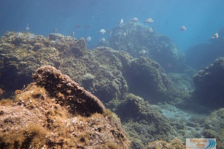 SSI Open Water Diver Course in South Tenerife — 3-Day Certification by the Atlantic photo 6
