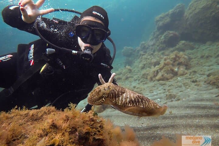 Learn to Dive in El Médano: SSI Scuba Diver Course to 12m