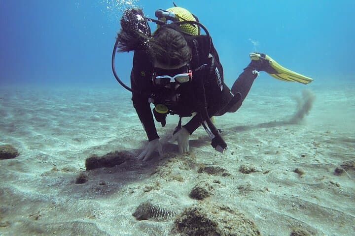 SSI Basic Diver in Tenerife: 2 Dives off Los Cristianos