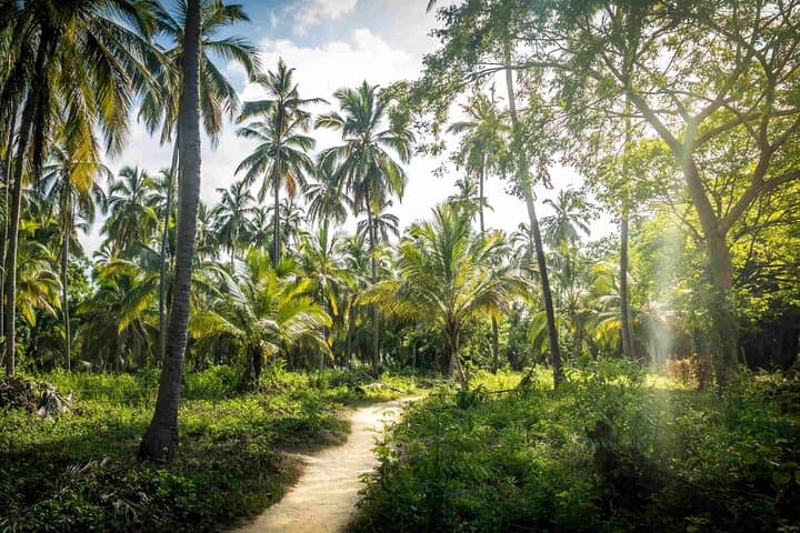 Sierra Nevada Escape: 4-Day Santa Marta, Tayrona & Minca Adventure photo 2